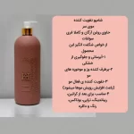 شامپو دنس هیر Dance Hair VIP Golden shampoo - تصویر 2