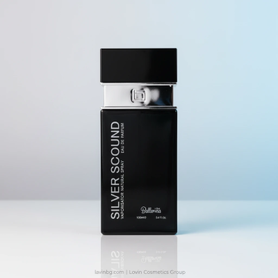 ادو پرفیوم مردانه بالرینا مدل Silver Scent حجم 100 میلی‌لیتر با بطری مشکی